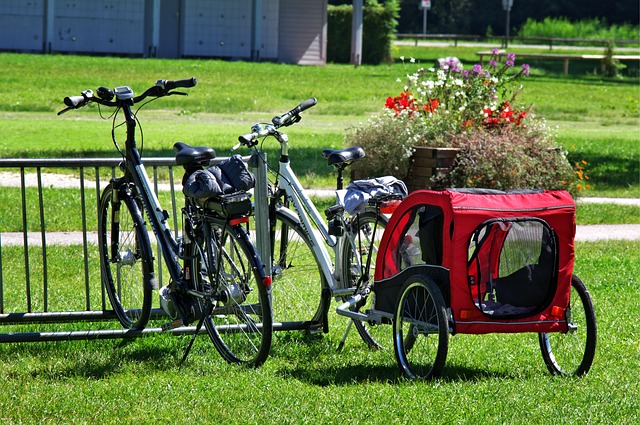 Fahrradanhänger mit Fahrrad